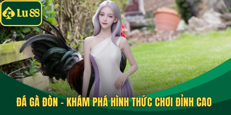 Đá Gà Đòn - Khám Phá Hình Thức Chơi Đỉnh Cao Tại LU88