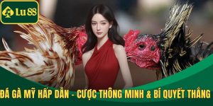 Đá Gà Mỹ Hấp Dẫn - Cược Thông Minh & Bí Quyết Thắng Lớn