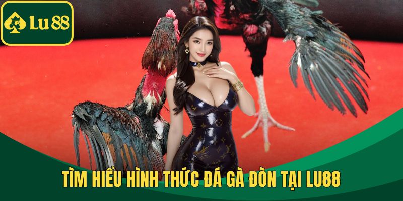 Tìm hiểu hình thức đá gà đòn tại LU88