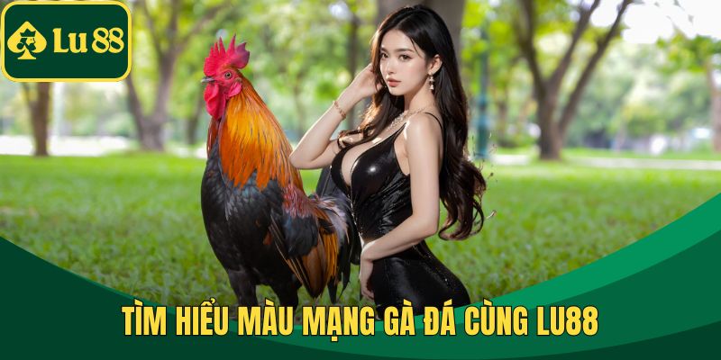Tìm hiểu màu mạng gà đá cùng LU88