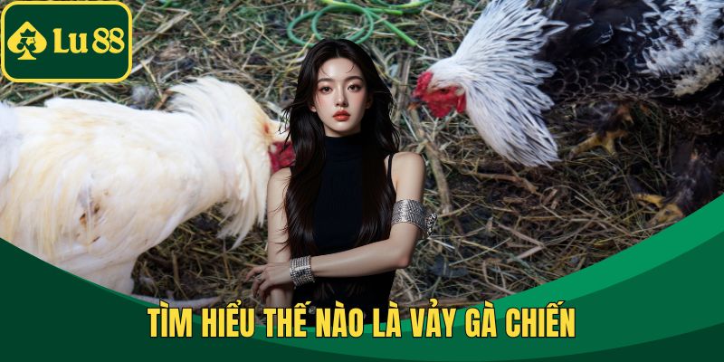 Tìm hiểu thế nào là vảy gà chiến